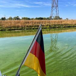 Mosel-km 370 - so grün!