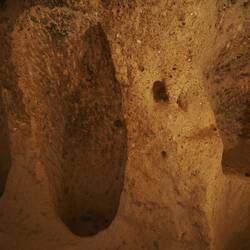 Futterstelle für Tiere / Animal feeding