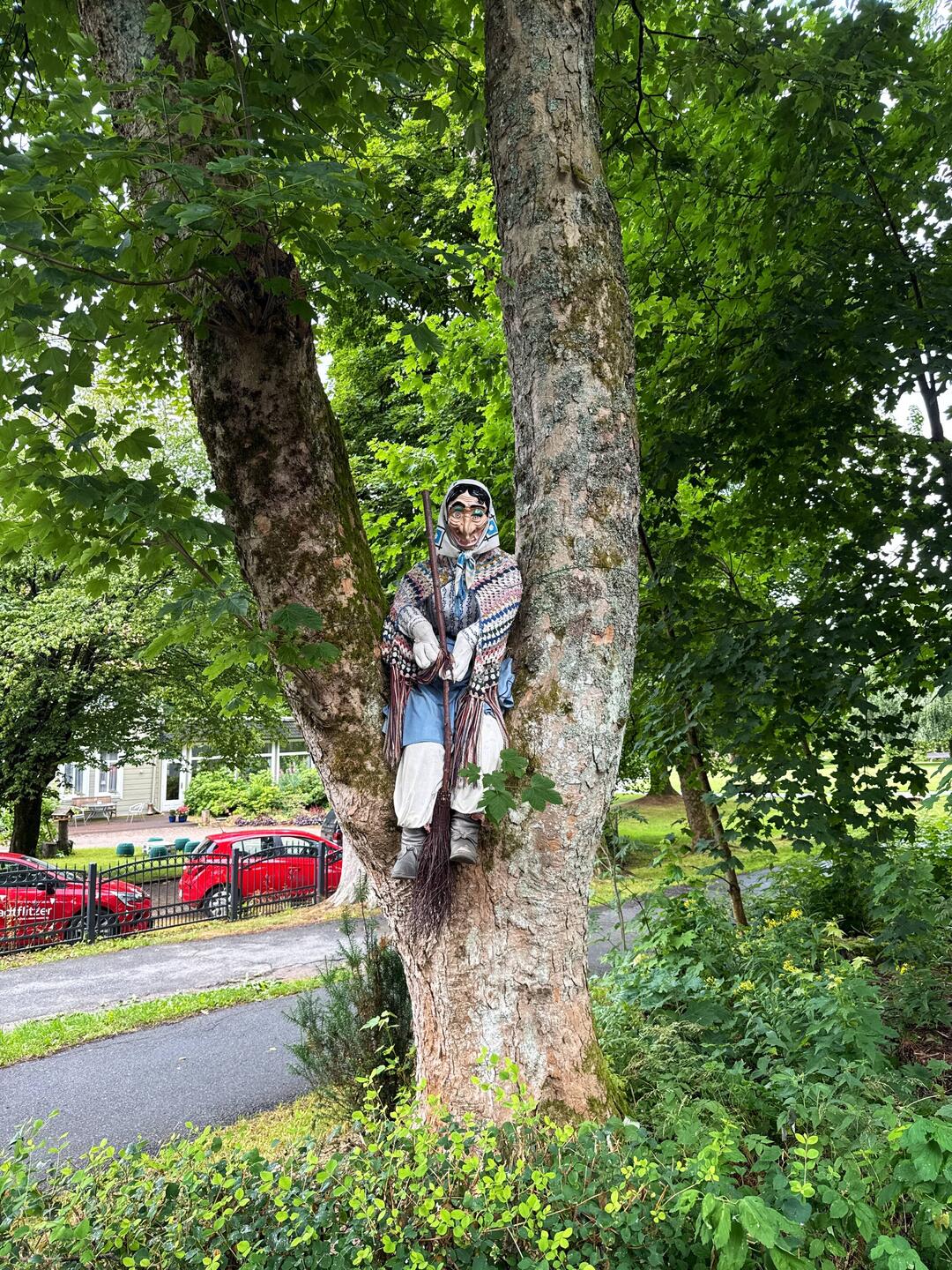 Im Harz lauern sie überall👀