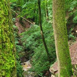 in der Margaretenschlucht