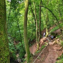 in der Margaretenschlucht