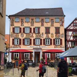 Hotel Zum Karpfen in Eberbach