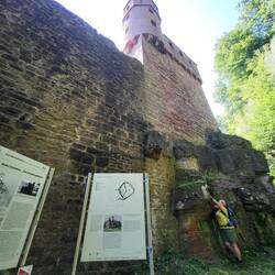 Burg Schadeck - das Schwalbennest
