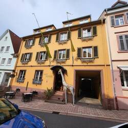 das Art-Hotel Neckar in Neckargemünd