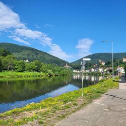 die 4 Burgen von Neckarsteinach