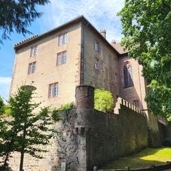 die Mittelburg in Neckarsteinach