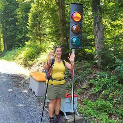 mitten im Wald: eine rote Ampel!