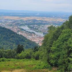 Blick vom Königsstuhl in die Rheinebene