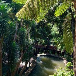 Monte Palace Tropical Garden 🌴