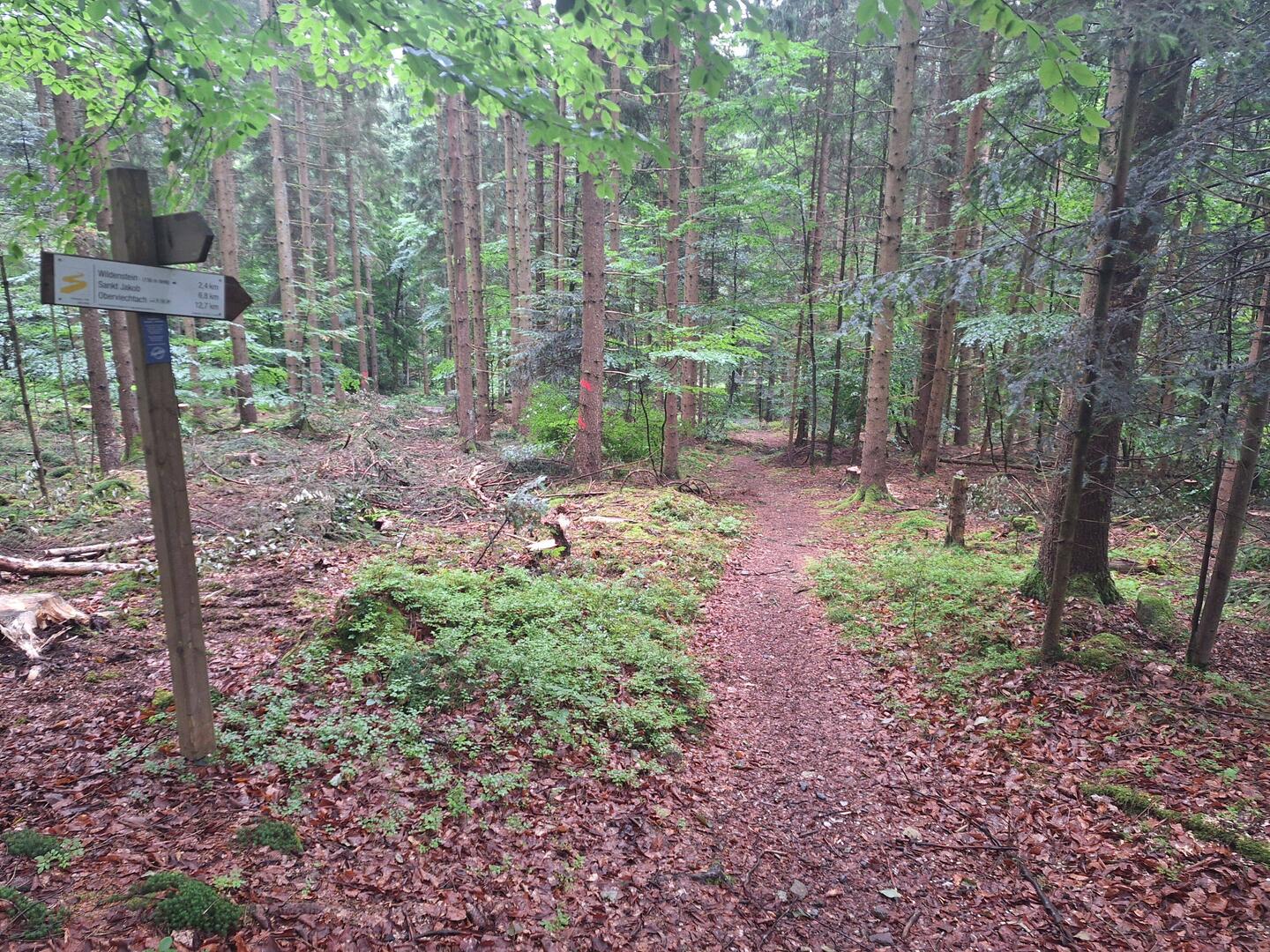 Sehr schöne Trails