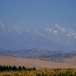 Und immer wieder scheinen durch den Dunst ( es ist trocken-staubig) weiße schneebedeckte Gipfel