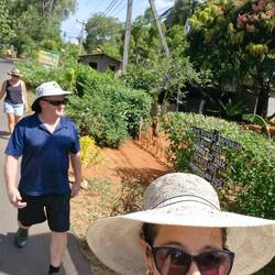 Off to view a big rock