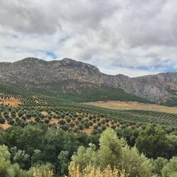 Unterwegs immer wieder Obstplantagen und dicke Wolke