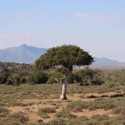 ...das Reststück ist dafür nicht weniger spektakulär