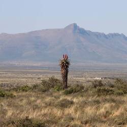 ...die ein tolles Motiv abgeben