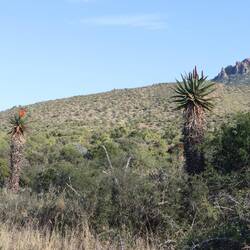 ...also laufe ich den Loop durch den Nationalpark