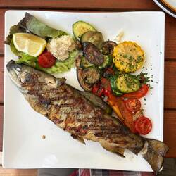 Saibling mit Grillgemüse