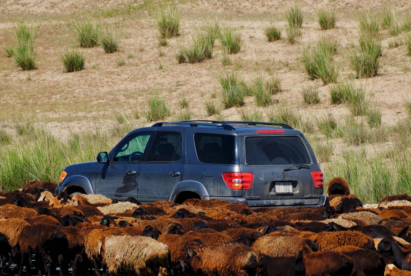 Wir sind nicht allein