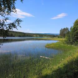 Der Badesee