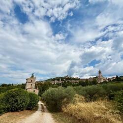 Looking up to Assisi