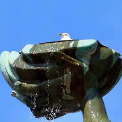 In Poseidons Muschel lässt es sich als Möwe gut aushalten.