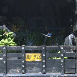 Die Waage ist immer griffbereit