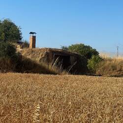 Bodegas in Maratinos