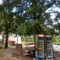 Einkehr im Gartenlokal