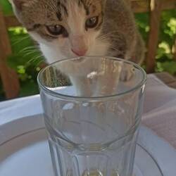 Frühstücksbesuch