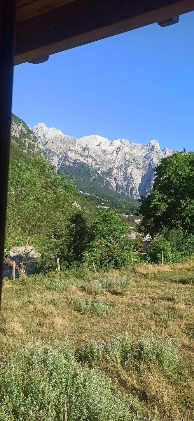 Blick aus dem Fenster