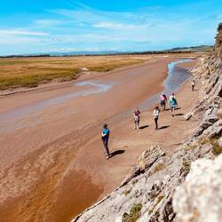 The estuary turning from grassland to mud