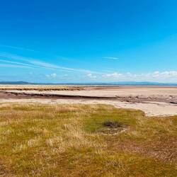 Estuary views