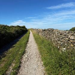 We also walked alongside many ancient walls!