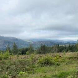 Video view from the mountainside