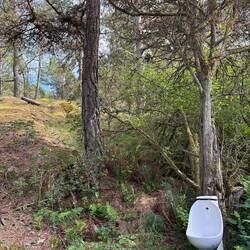 Diese Waldtoilette scheint die Brennesselpopulatuon lokal zu erhöhen.