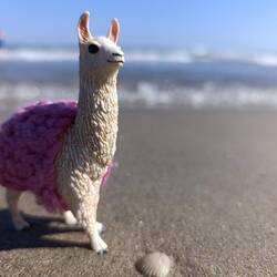 Und eh man sich's versieht, ist man am & im (Mittel-) 🌊🌊