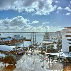 11.30 Uhr...inzwischen ist der Nebel weg und die Sonne scheint. Auckland - wir kommen!