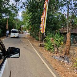 I have no idea why I took this. Something must have taken my fancy