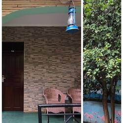 Zugang zu meinem Zimmer mit Zitronenbaum davor