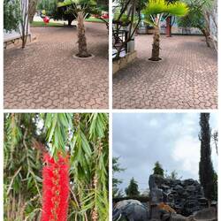 Kleiner botanischer Garten mit großem Springbrunnen