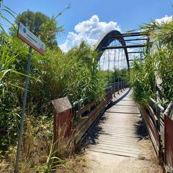 Immanuel Kant Brücke (oder Weg)