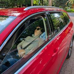 Kurzer Nap während Mama die Dreharbeiten verfolgt hat