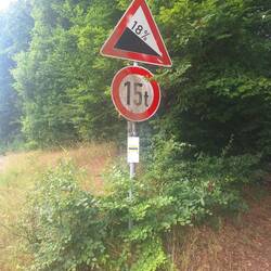 Steil runter ins Moor