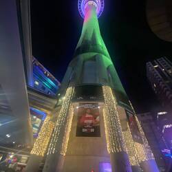 Der Skytower wunderschön illuminiert.