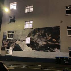 Nächtliches Auckland...