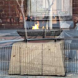 The Flame of Democracy