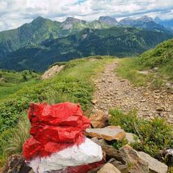 Das nenn ich mal eine akurate Wegmarkierung!😉