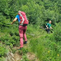 Tolle Freiwilligenarbeit. Danke!