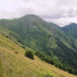 ... und der Blick zurück zum Köderkopf (rechts).