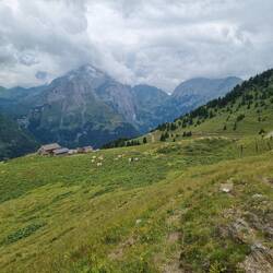 Vorbei an Almen immer weiter talwärts ...